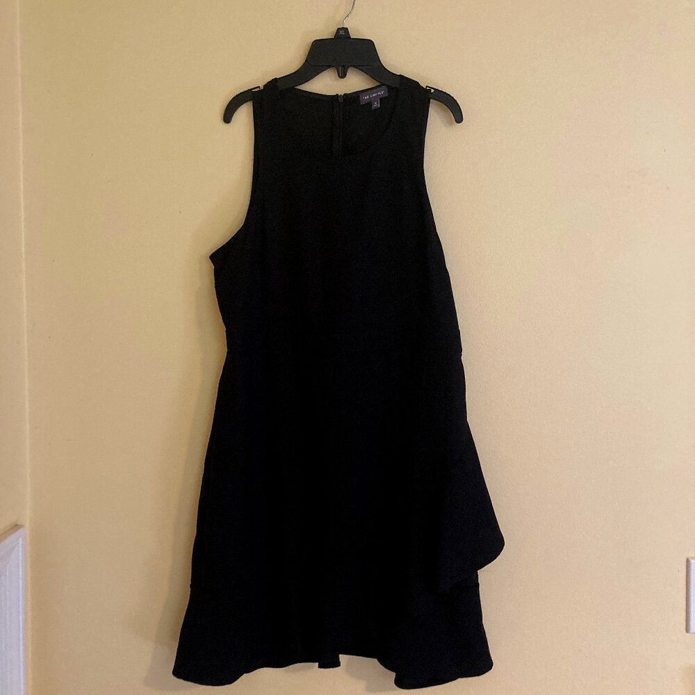 Black Sleevless Angled Ruffled Dress from The Limited